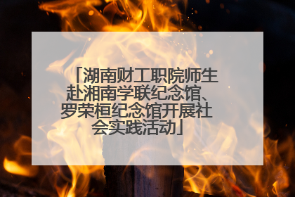 湖南财工职院师生赴湘南学联纪念馆、罗荣桓纪念馆开展社会实践活动