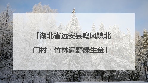 湖北省远安县鸣凤镇北门村：竹林遍野绿生金
