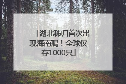 湖北秭归首次出现海南鳽！全球仅存1000只