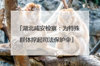 湖北咸安检察：为特殊群体撑起司法保护伞