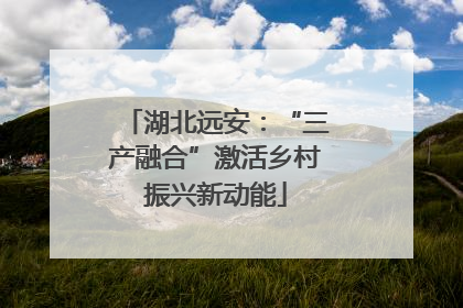 湖北远安：“三产融合”激活乡村振兴新动能