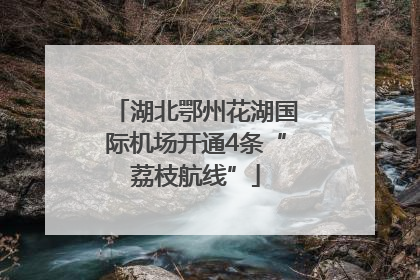 湖北鄂州花湖国际机场开通4条“荔枝航线”