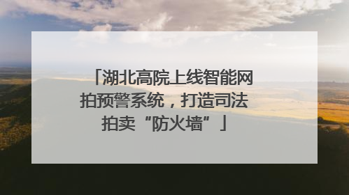 湖北高院上线智能网拍预警系统，打造司法拍卖“防火墙”