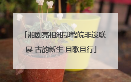 湘剧亮相湘鄂赣皖非遗联展 古韵新生 且歌且行