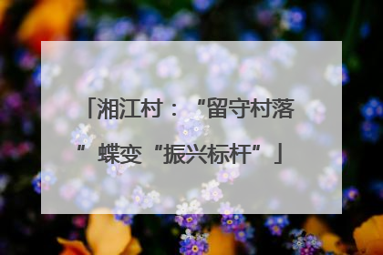 湘江村：“留守村落”蝶变“振兴标杆”