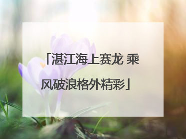 湛江海上赛龙 乘风破浪格外精彩