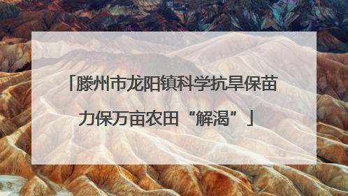 滕州市龙阳镇科学抗旱保苗 力保万亩农田“解渴”