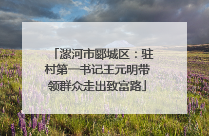 漯河市郾城区：驻村第一书记王元明带领群众走出致富路
