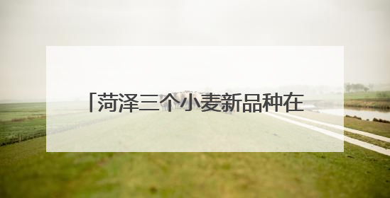 菏泽三个小麦新品种在新疆戈壁滩试种成功
