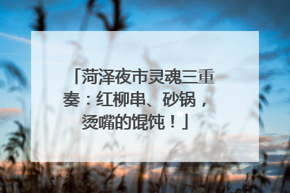 菏泽夜市灵魂三重奏：红柳串、砂锅，烫嘴的馄饨！