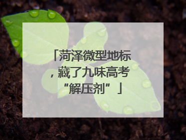 菏泽微型地标，藏了九味高考“解压剂”