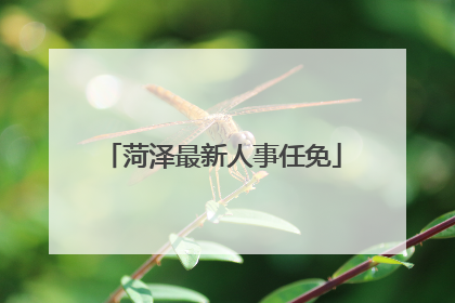 菏泽最新人事任免