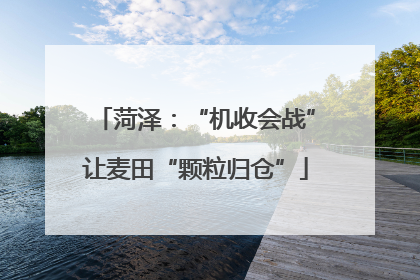 菏泽：“机收会战”让麦田“颗粒归仓”