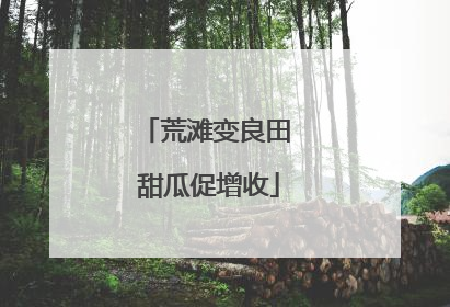 荒滩变良田 甜瓜促增收