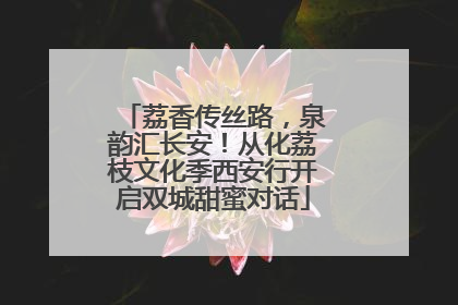 荔香传丝路，泉韵汇长安！从化荔枝文化季西安行开启双城甜蜜对话
