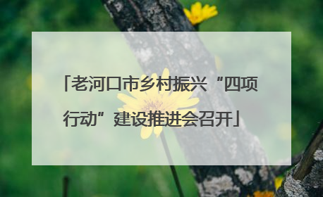 老河口市乡村振兴“四项行动”建设推进会召开