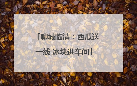 聊城临清：西瓜送一线 冰块进车间