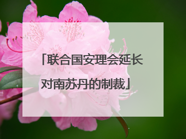 联合国安理会延长对南苏丹的制裁
