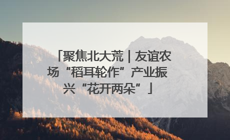聚焦北大荒｜友谊农场“稻耳轮作”产业振兴“花开两朵”