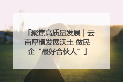 聚焦高质量发展｜云南厚植发展沃土 做民企“最好合伙人”