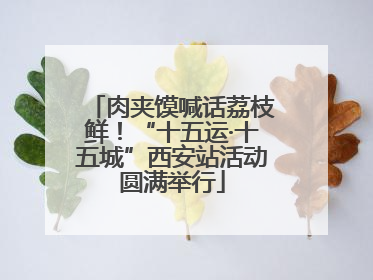 肉夹馍喊话荔枝鲜！“十五运·十五城”西安站活动圆满举行