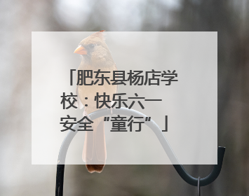 肥东县杨店学校：快乐六一 安全“童行”