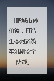 肥城市孙伯镇：打造生态河道筑牢汛期安全防线