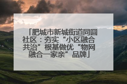 肥城市新城街道同圆社区：夯实“小区融合共治”根基做优“物网融合一家亲”品牌
