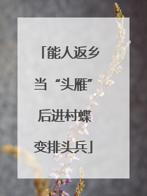 能人返乡当“头雁” 后进村蝶变排头兵