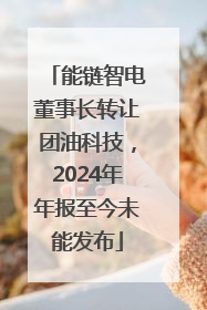 能链智电董事长转让团油科技，2024年年报至今未能发布