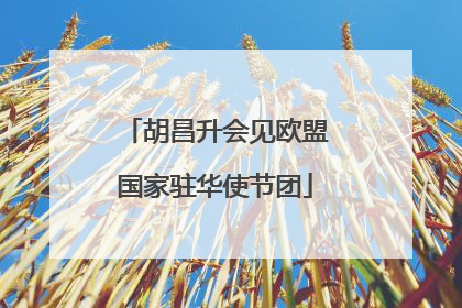 胡昌升会见欧盟国家驻华使节团