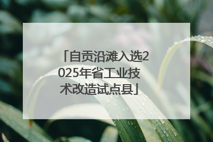 自贡沿滩入选2025年省工业技术改造试点县