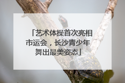 艺术体操首次亮相市运会，长沙青少年舞出最美姿态