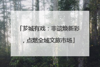 芗城有戏：非遗焕新彩，点燃全域文旅市场