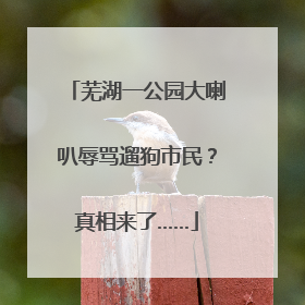 芜湖一公园大喇叭辱骂遛狗市民？真相来了……