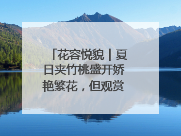 花容悦貌｜夏日夹竹桃盛开娇艳繁花，但观赏时“碰不得”