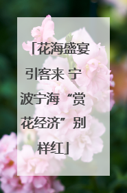 花海盛宴引客来 宁波宁海“赏花经济”别样红