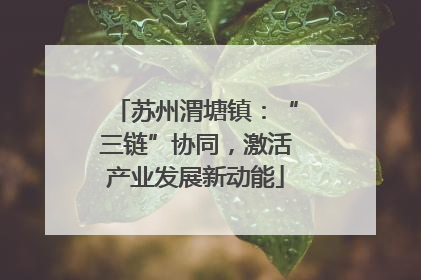 苏州渭塘镇：“三链”协同，激活产业发展新动能