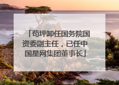 苟坪卸任国务院国资委副主任，已任中国星网集团董事长