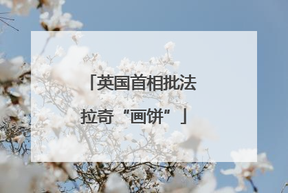 英国首相批法拉奇“画饼”