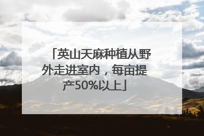 英山天麻种植从野外走进室内，每亩提产50%以上