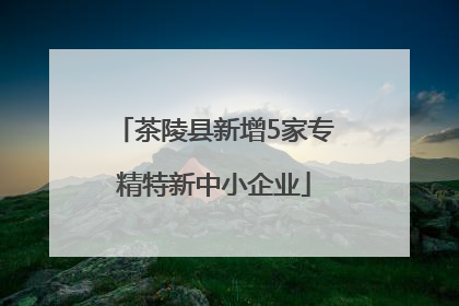 茶陵县新增5家专精特新中小企业