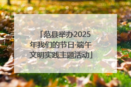 范县举办2025年我们的节日·端午文明实践主题活动