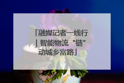 融媒记者一线行｜智能物流“链”动城乡富路