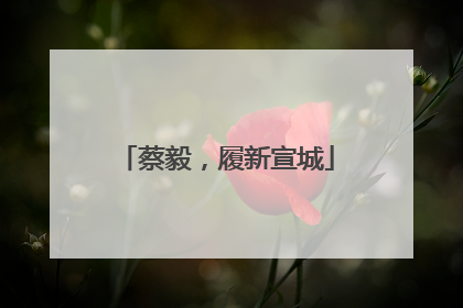 蔡毅，履新宣城