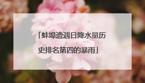 蚌埠遭遇日降水量历史排名第四的暴雨