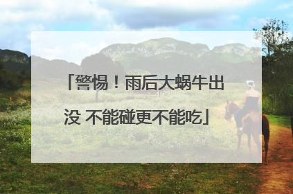 警惕！雨后大蜗牛出没 不能碰更不能吃