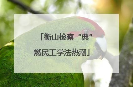 衡山检察“典”燃民工学法热潮