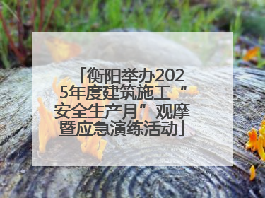 衡阳举办2025年度建筑施工“安全生产月”观摩暨应急演练活动