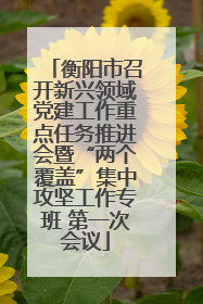 衡阳市召开新兴领域党建工作重点任务推进会暨“两个覆盖”集中攻坚工作专班 第一次会议
